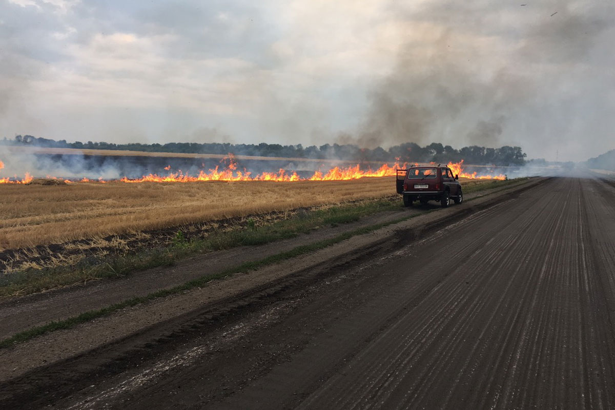 Огонь уничтожил посевы под Харьковом (фото)
