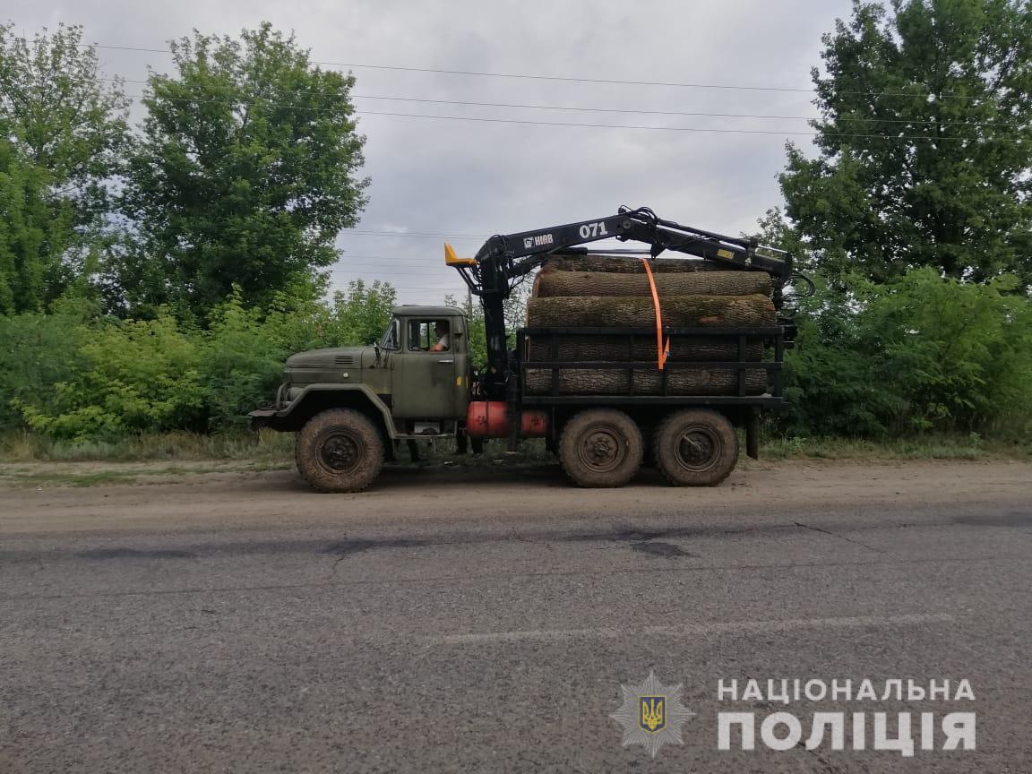 Лесоповал под Харьковом: задержаны машины с бревнами
