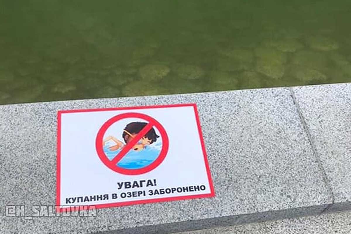 Харьковчане плавают в новом озере, несмотря на запрет (видео)