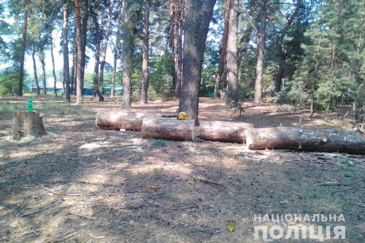 Под Харьковом задержаны нелегальные лесорубы (фото)