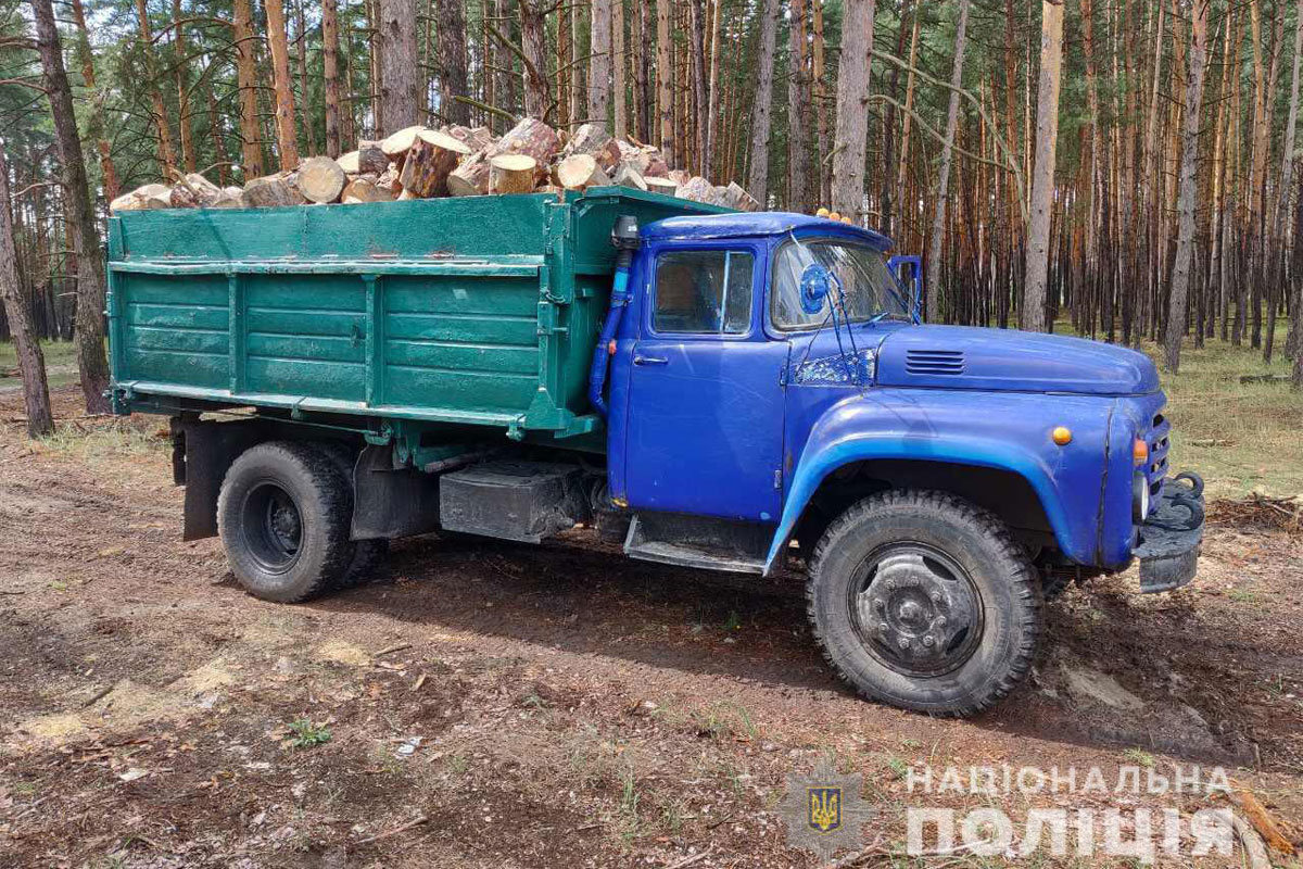 Черные лесорубы продолжают вырубку под Харьковом (фото)