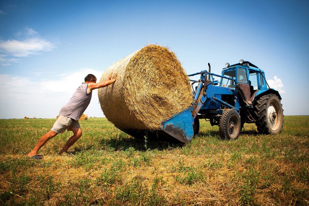 Харьковские фермеры жалуются на рейдеров