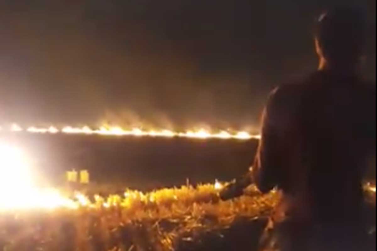 Ночью под Харьковом горела стерня (видео)