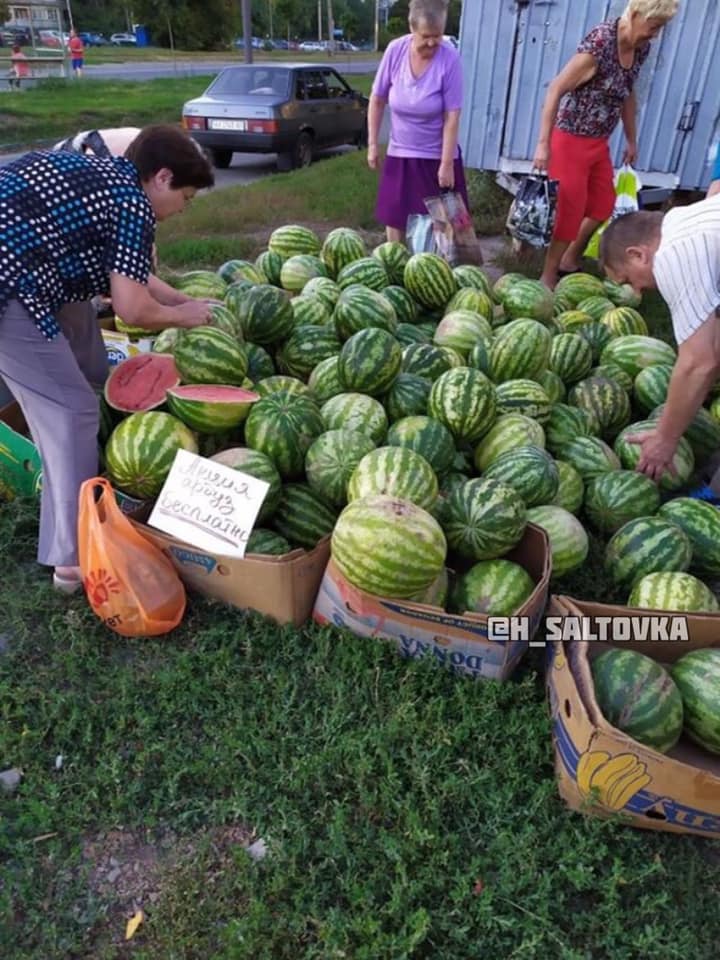 В Харькове бесплатно раздают арбузы (фото)