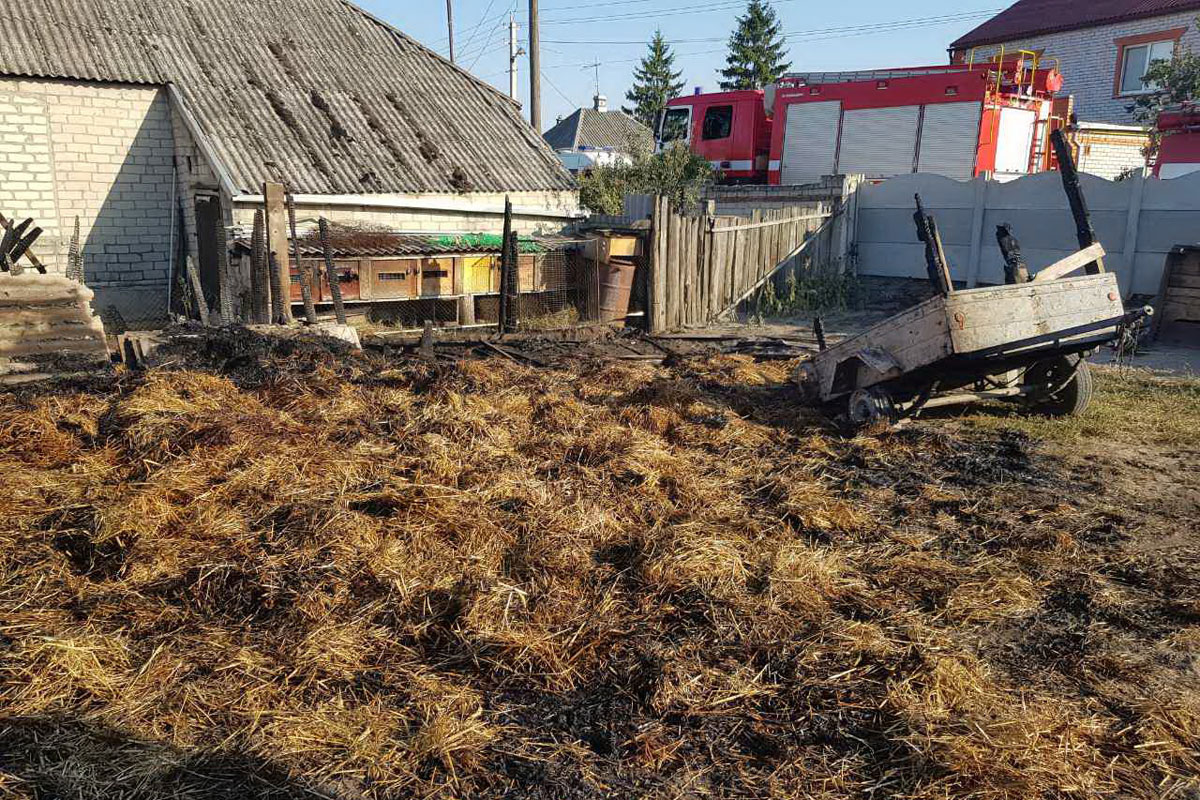 Под Харьковом вспыхнуло сено: сгорели постройки и забор (фото)