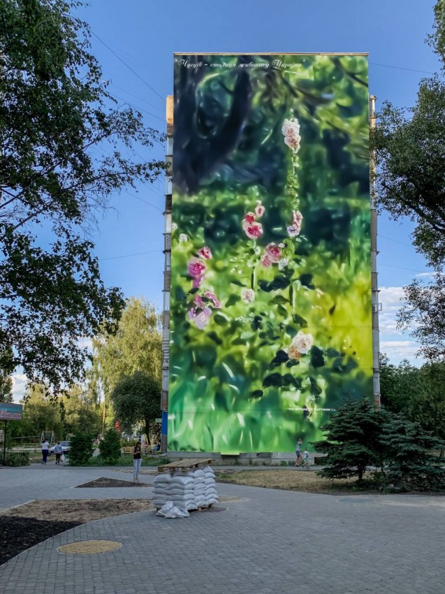 Под Харьковом появились гигантские мальвы (фото)