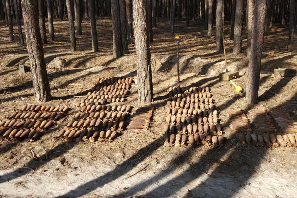 В бору под Харьковом нашли боеприпасы (фото)