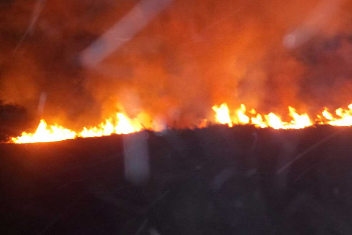 Под Харьковом пять часов тушили пожар (фото)