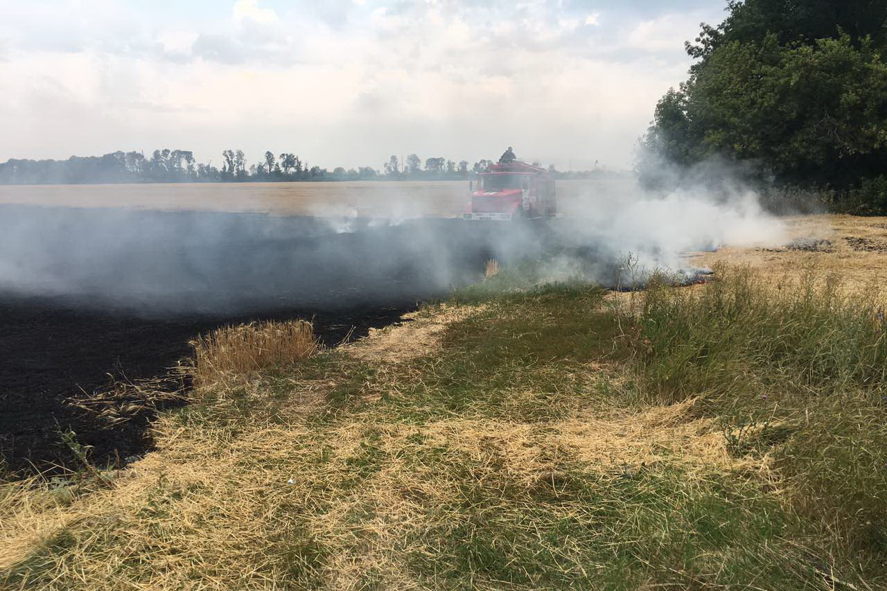 В Харькове полыхает трава