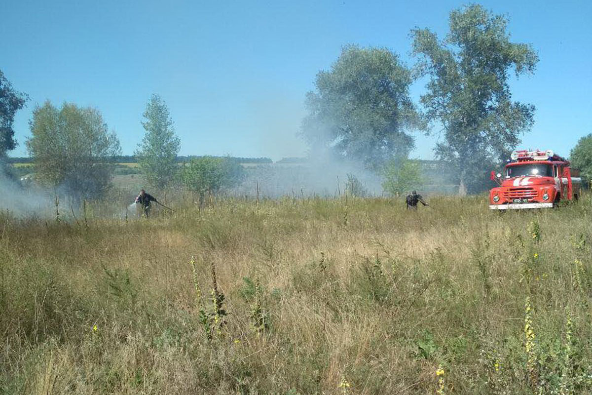 Под Харьковом пылает трава, сгорели постройки и дачный дом (фото)