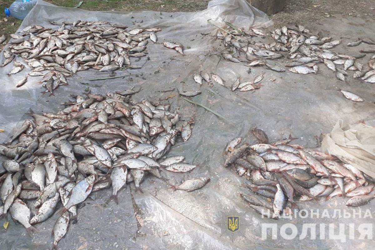 На водохранилище под Харьковом поймали браконьера (фото)