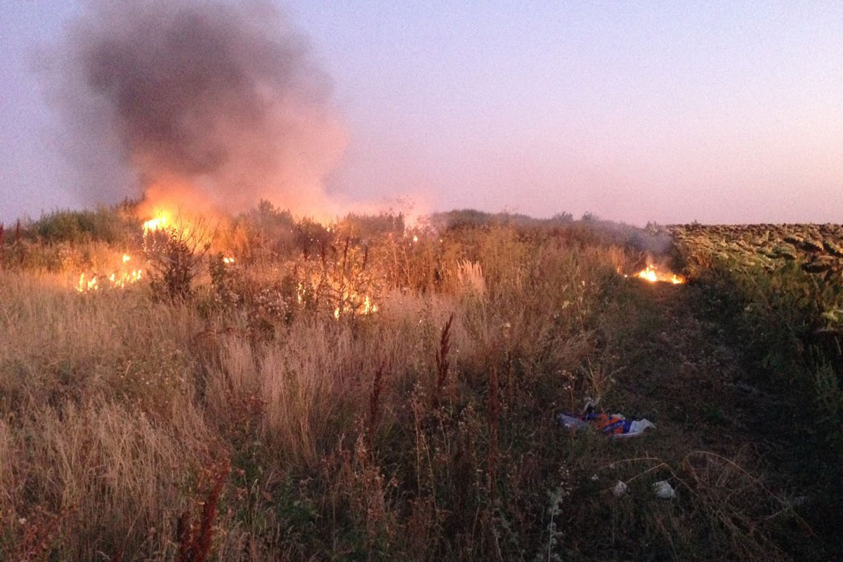 Под Харьковом пылает трава, сгорели дачные дома и электроопора (фото)