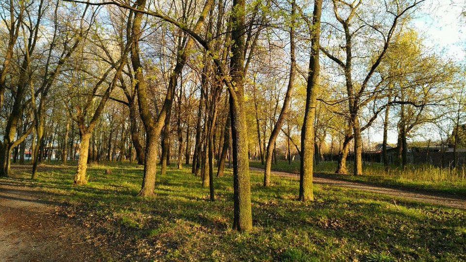 В Харькове появится еще одна зона отдыха