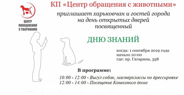 Харьковский приют зовет на мастер-классы и выгул