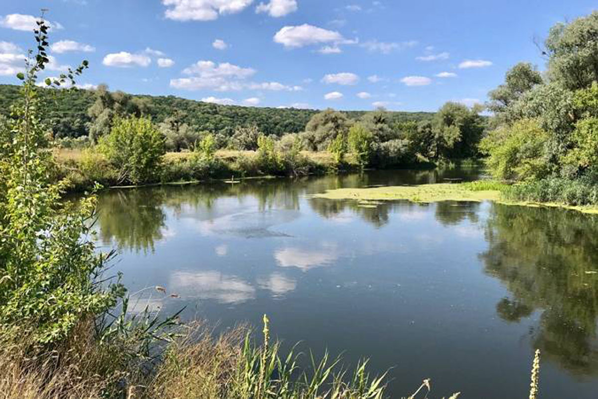 Село под Харьковом может выиграть конкурс "Невероятные села Украины"