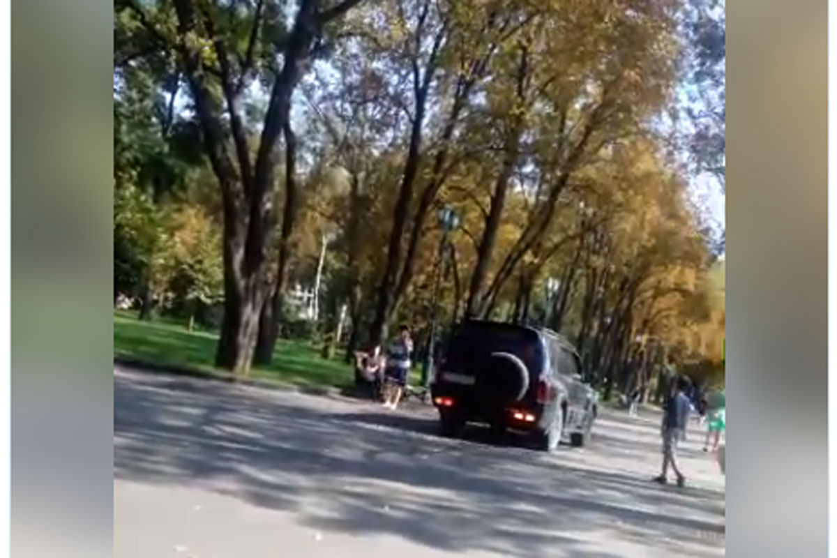 Машина прокатилась по аллеям сада Шевченко (видео)