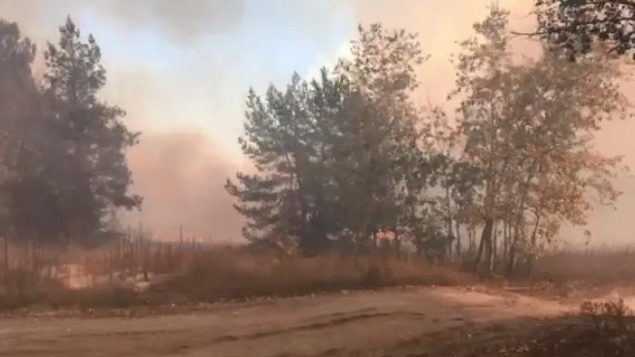 Дым под Харьковом: отселять людей не будут