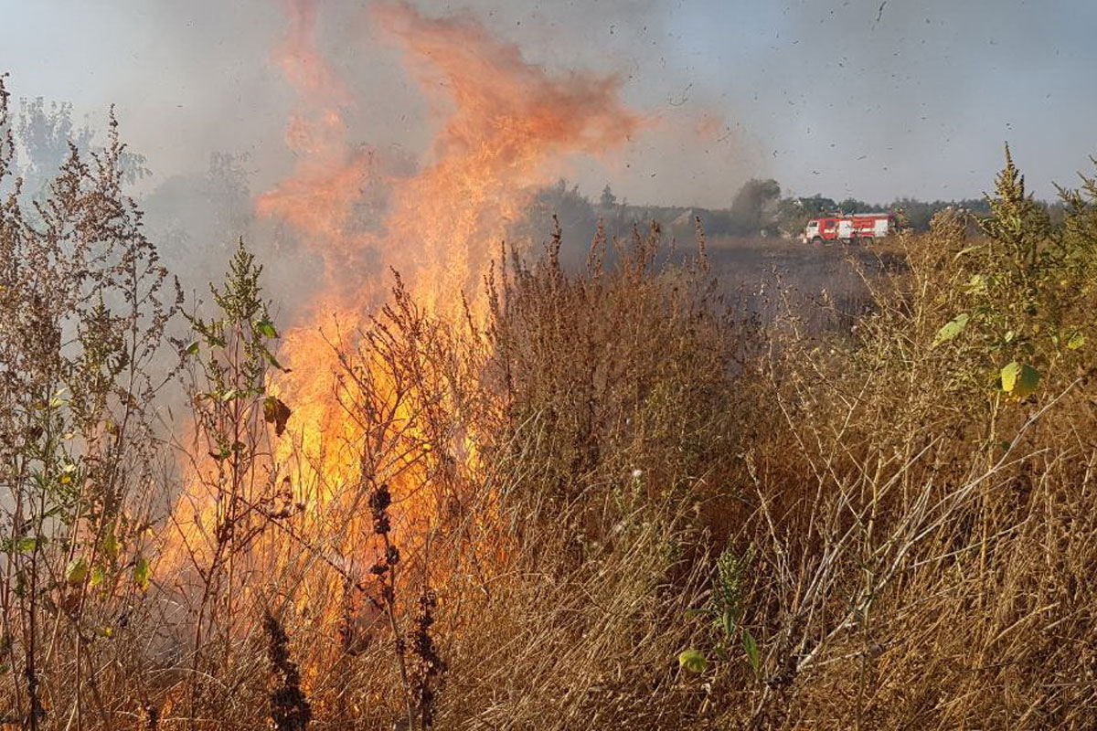 Под Харьковом полыхает трава, сгорели ульи и подсолнечники (фото)