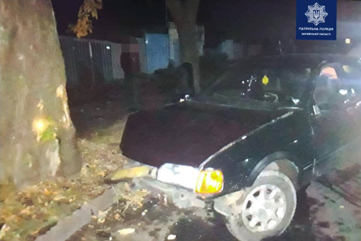 На Одесской пьяный водитель влетел в дерево (фото)
