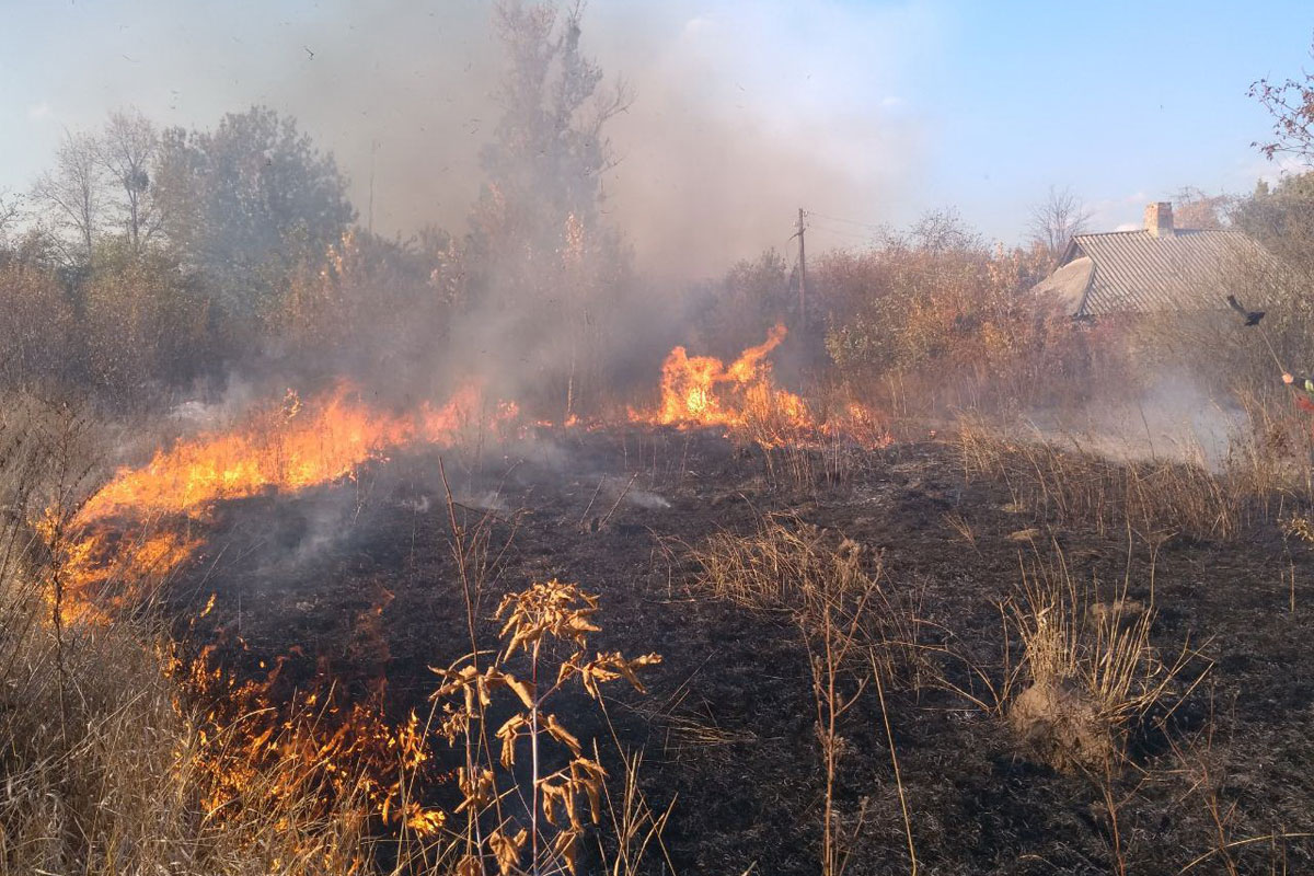 В Харьковской области пожар чуть не перекинулся на дома