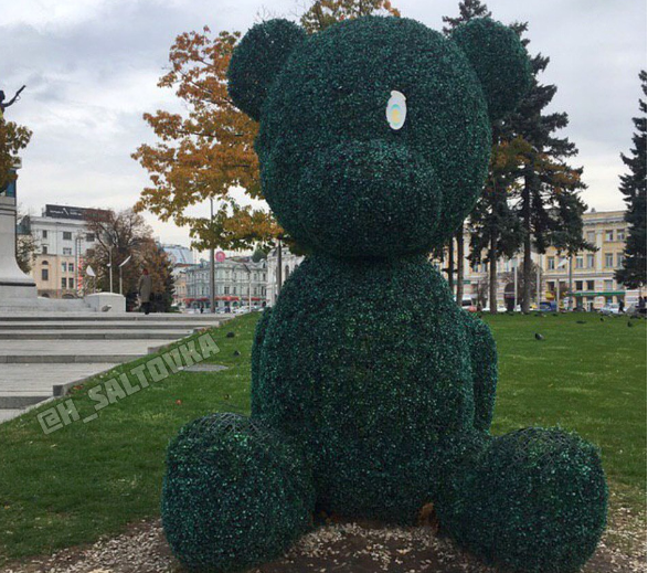 В Харькове медведю вырвали глаз (фото)