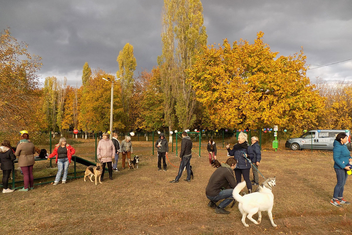 На Московском проспекте открыли площадку для выгула собак