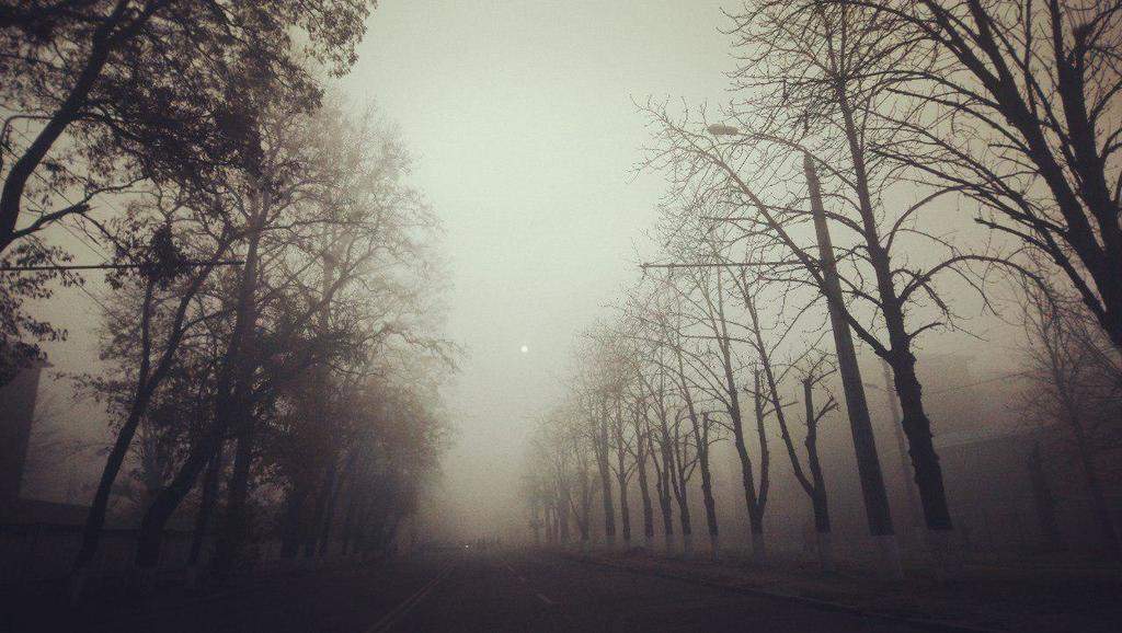 Харьковчан снова предупреждают о тумане