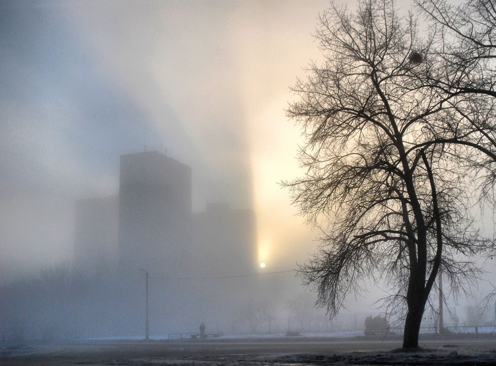 На Харьков опустился туман