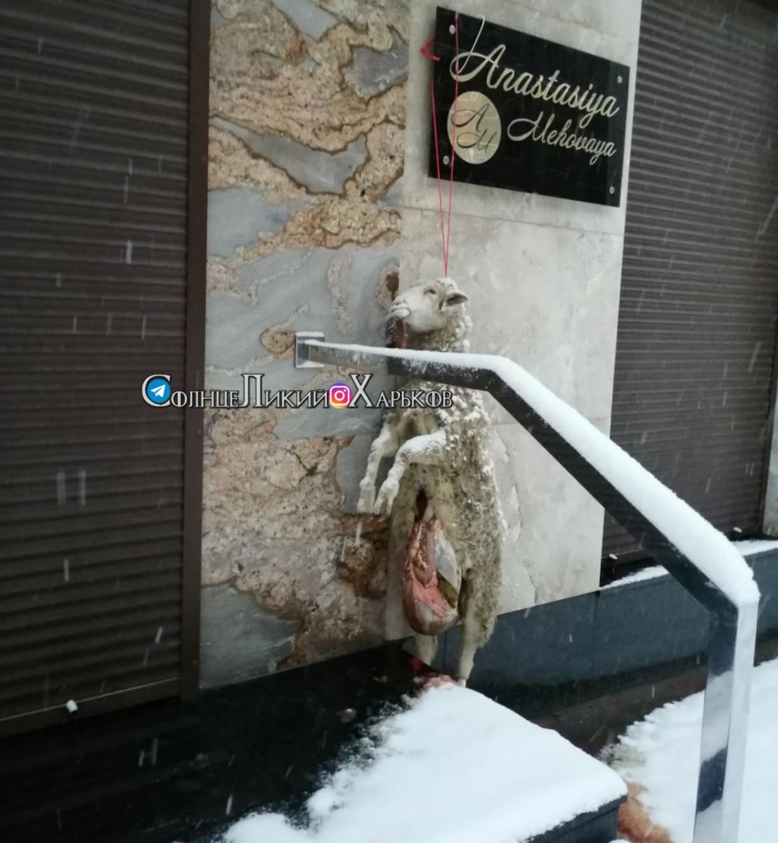 На Маяковского у мехового магазина повесили труп барана
