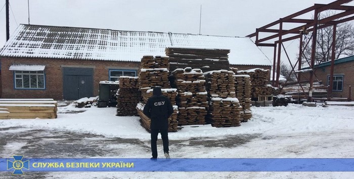 В Харьковской области украли леса на пять миллионов
