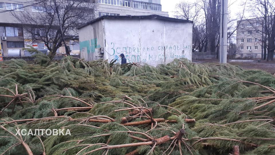 Харьковчане возмущены брошенными на улицах елками (фото)