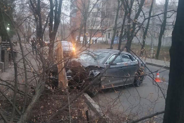 На Ромена Роллана Audi влетела в дерево (фото)
