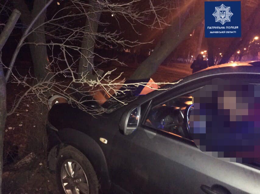 На Алексеевке машина влетела в дерево (фото)