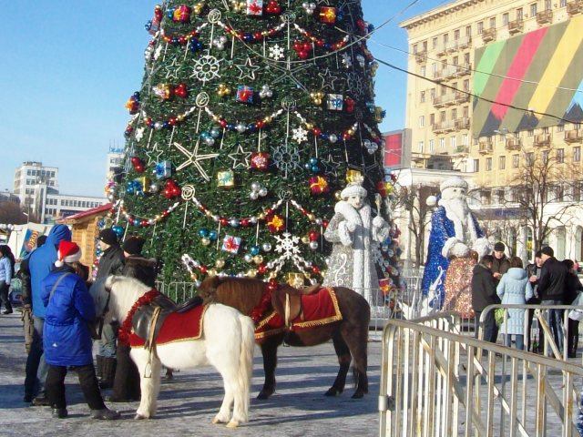 Харьковчане просят убрать лошадей с площади Свободы