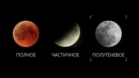 Над Харьковом взойдет "волчья луна" (фото)