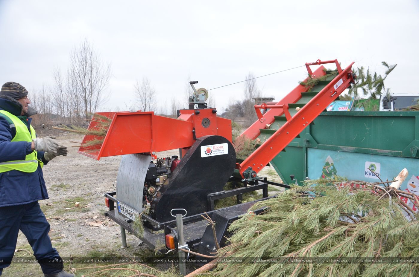 Куда вывозят новогодние елки в Харькове (фото)