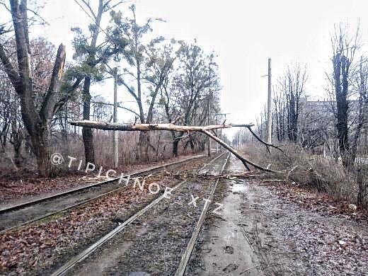 На ХТЗ дерево рухнуло на трамвайные пути (фото)