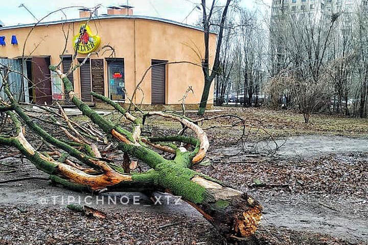 Последствия непогоды в Харькове (фото, видео)