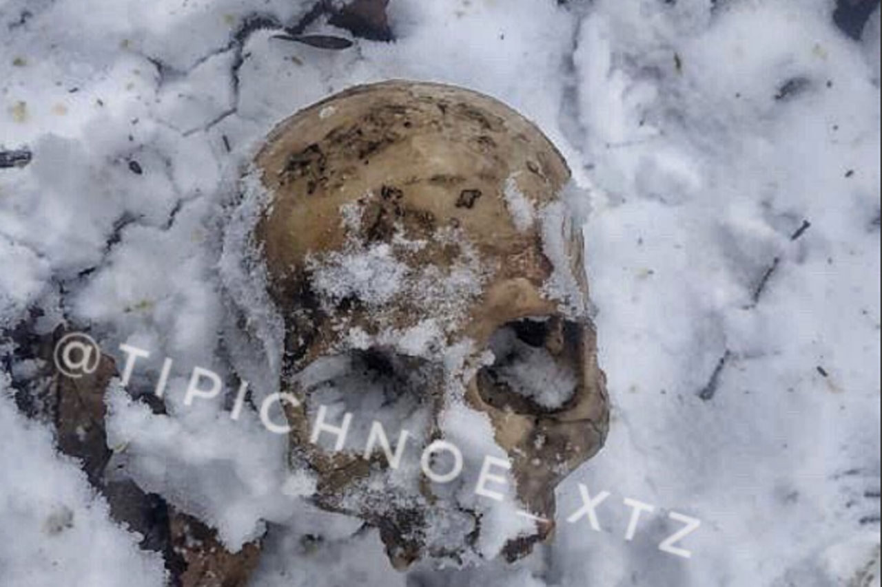 В Харькове нашли человеческие кости (фото 18+)