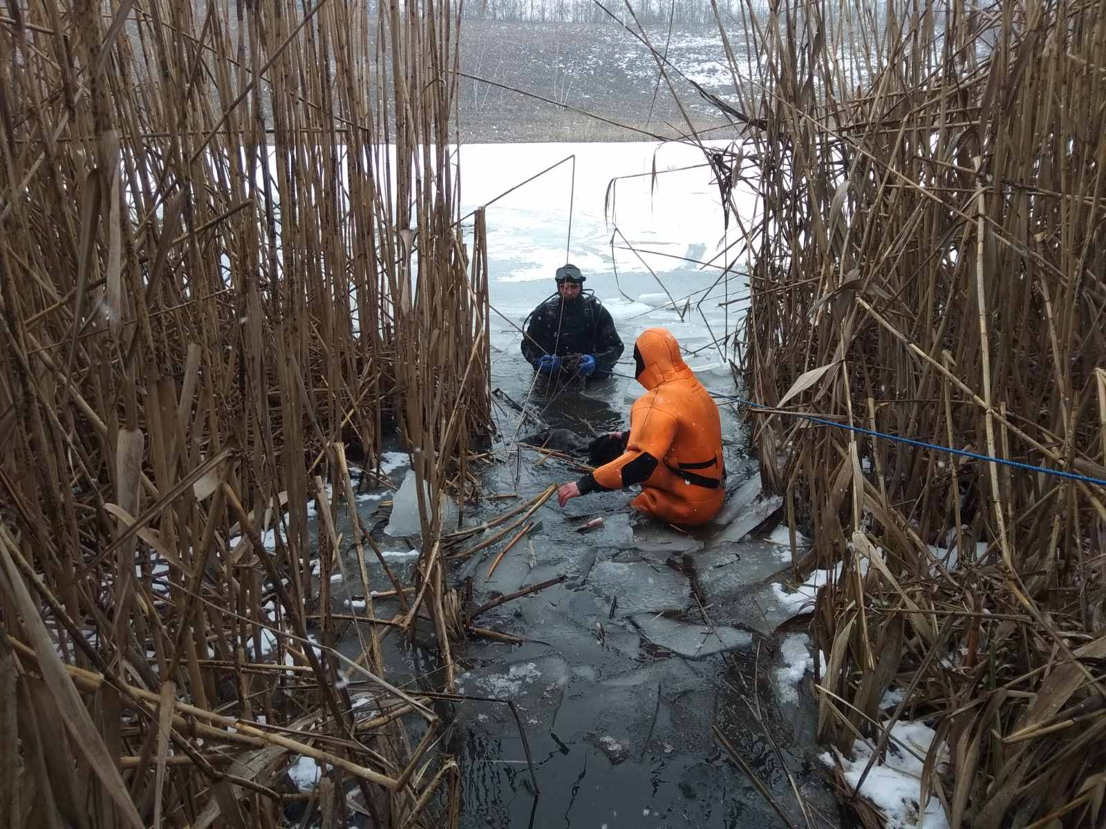 Под Харьковом рыбак провалился под лед и погиб