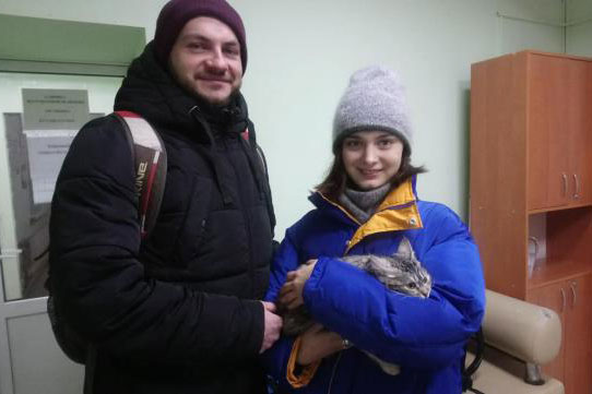 В Харькове пристроили больше двух тысяч бездомных животных