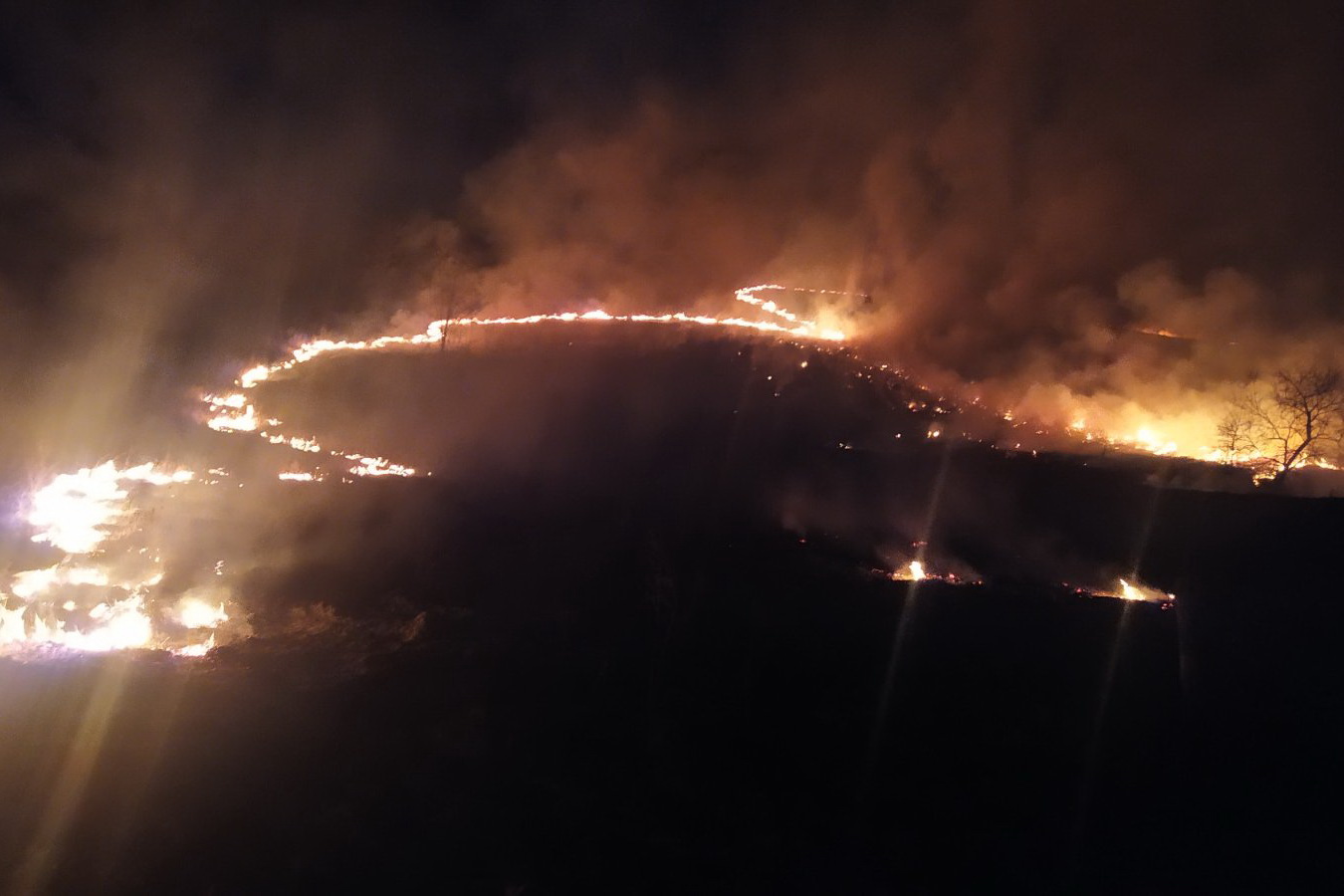 Восемь гектаров выжженной земли: под Харьковом тушили крупный пожар (фото)
