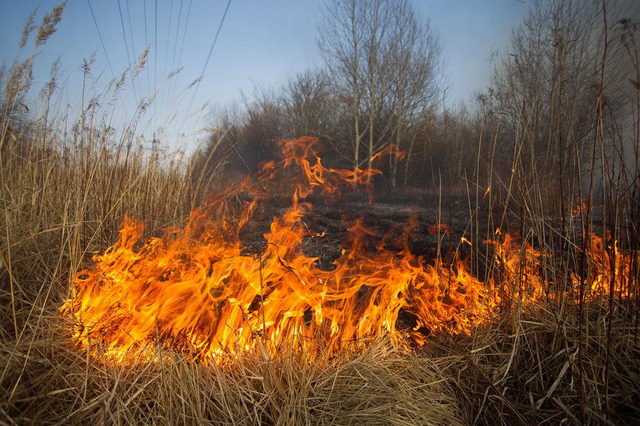 На Салтовке - крупный пожар (фото)