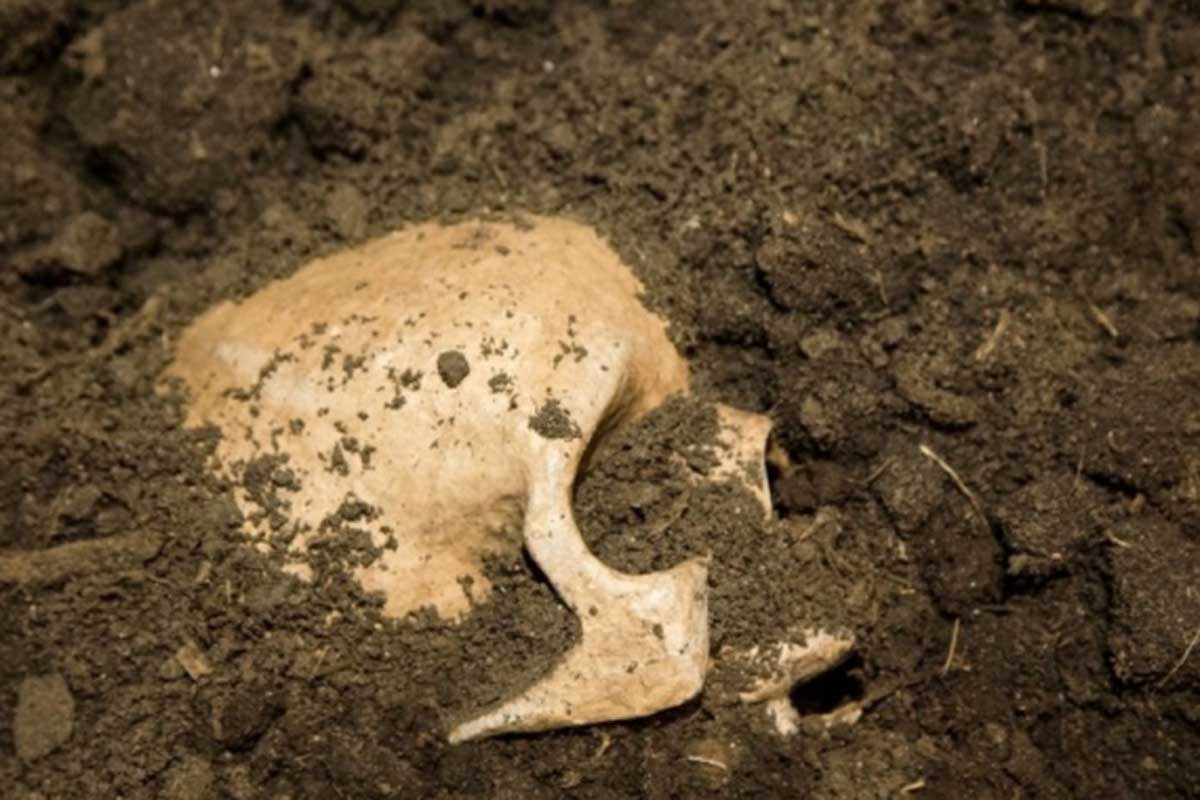 В Волчанске новые хозяева дома нашли скелет человека в канализации
