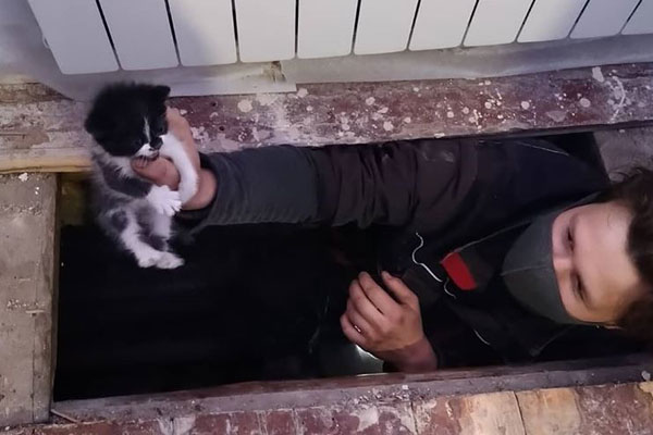 Харьковчане разобрали пол в квартире для спасения котенка (фото)