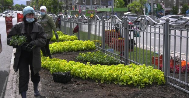 На проспекте Науки высаживают цветочное панно