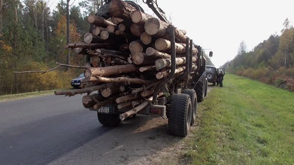 В Изюмском районе не дали вывезти 100 кубометров украденного леса