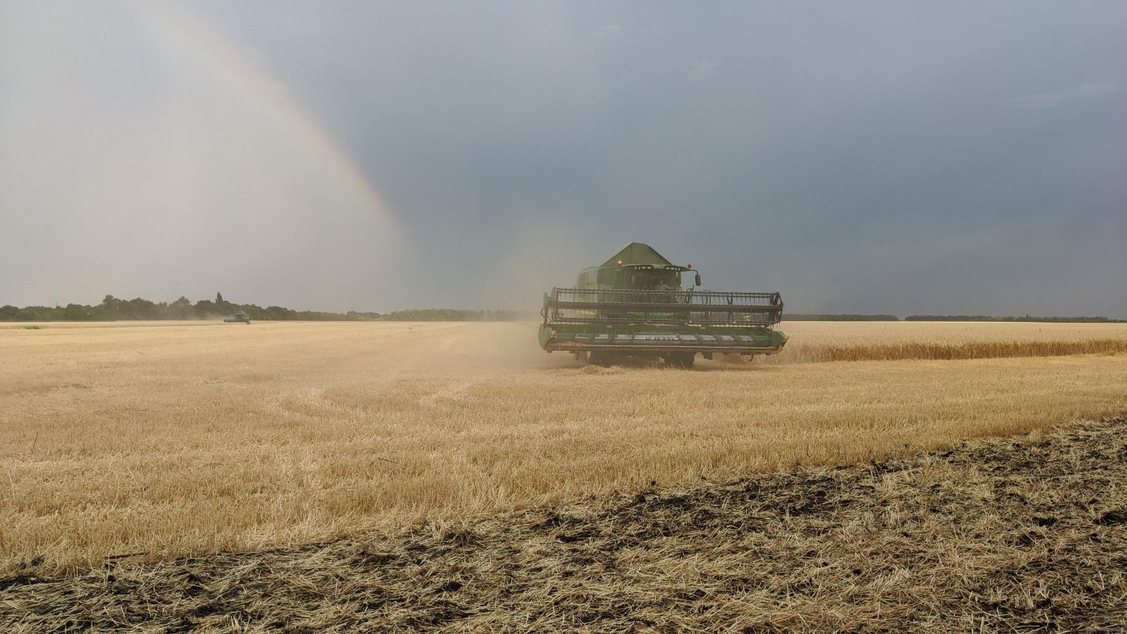 В Харьковской области начали сбор зерновых