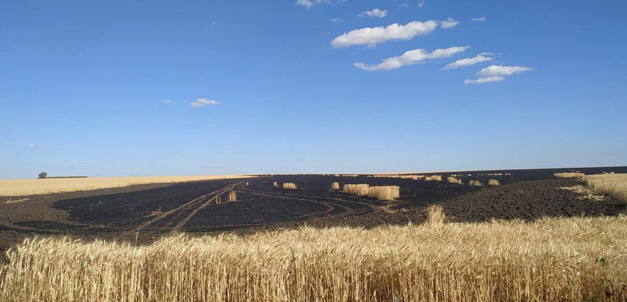 Под Харьковом сгорело пшеничное поле