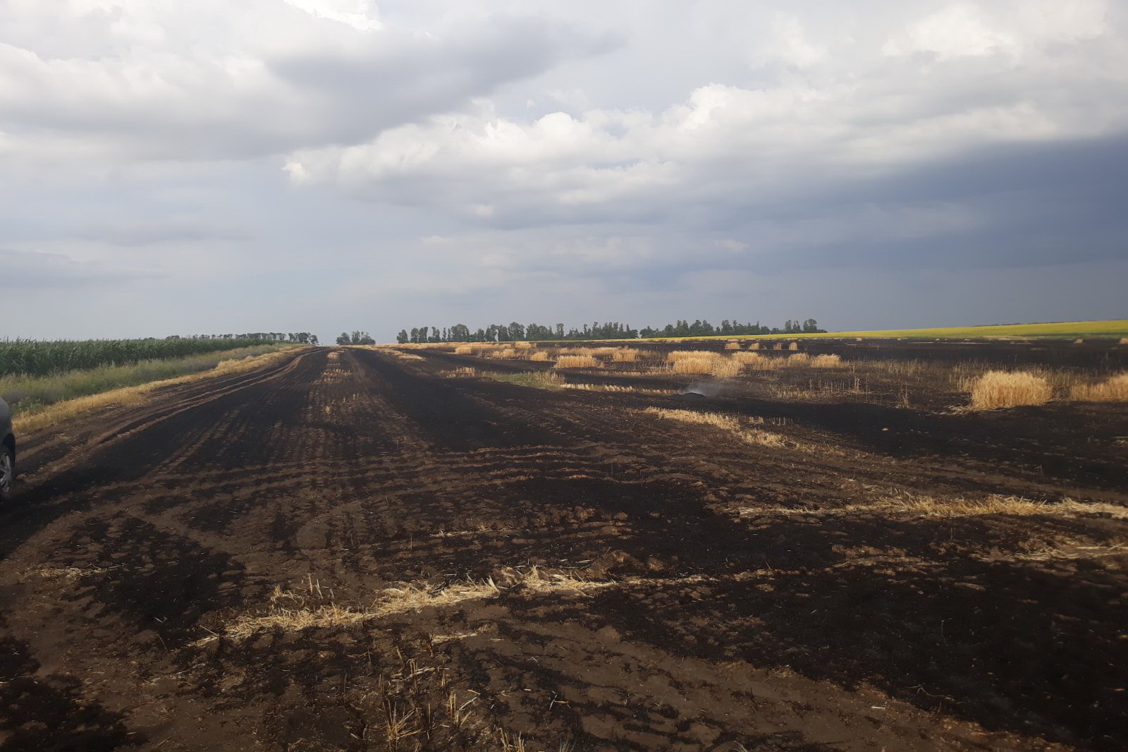 Под Харьковом сгорело очередное поле